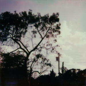 白凝冰被方源C到流奶
